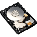 Image de FS33034 Toshiba MK3265GSX 320GB SATA/300 5400RPM 8MB 2.5inch Hard Drive 