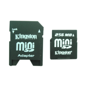 Image de FirstSing  MC005 Kingston Mini Sd 256 MB