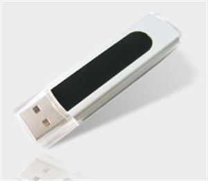 Picture of FirstSing  UD168(USB1.1)  UD268(USB2.0)