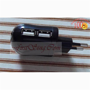 Picture of FirstSing FS21130 Tow USB Travel Car Charger for iPhone