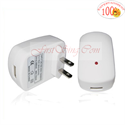 Изображение FirstSing FS00037 for iPad USB Travel Charger 