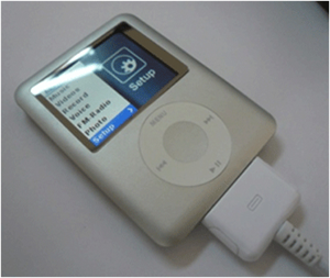 FS08025  8GB 1.8 inch LCD Mp3 Player FM USB REC (TFT Screen)