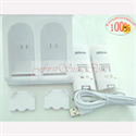 FirstSing FS19189 Dual Charging Station With 2800mAh Battery Packs for Wii