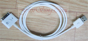 FirstSing FS09217 USB Sync and Charge Cable with on/off Switch for all iPad/iPhone 4G/3GS/3G/iPod