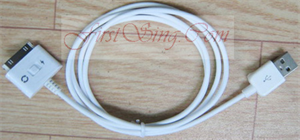 Image de FirstSing FS09217 USB Sync and Charge Cable with on/off Switch for all iPad/iPhone 4G/3GS/3G/iPod