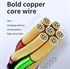 USB-C to Lighting 1.0m Cable の画像