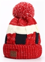 Image de Warm Winter Hat With Built-in Bluetooth Earphones And Microphone