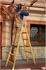 Woodland Ladder Standard 2X5 Rung Woodland