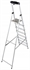 Image de Ladder 1x8 3.70m with Shelf