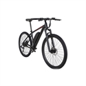 Изображение Electric Mountain Bike 29 inch Ebike E-Citybike Bicycle 36V 250W