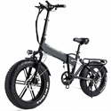 Folding Electric Bike 48V 500W 10Ah 20 inch E-Bike の画像