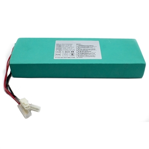 Rechargeable Battery 24V 10.4Ah for Rollskate Plus