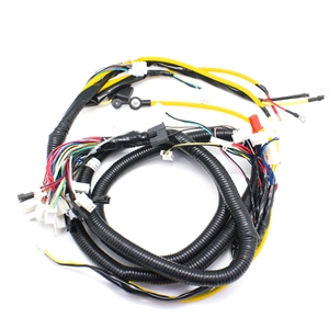 Image de Replacement Main Wiring for Hawk