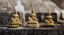 Изображение There are seven items in the Buddhist scriptures that are profitable and profitable