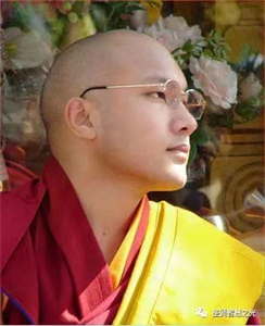 Picture of 17th Karmapa Ogyen Trinley Dorje