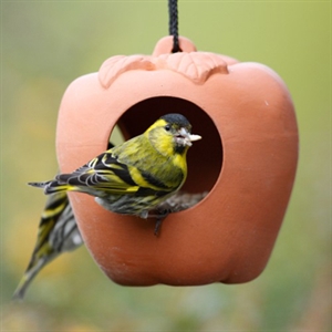 Apple Bird Feeder の画像