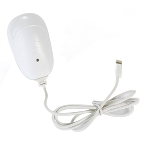 1 A Wall Travel Charger for iPhone 5