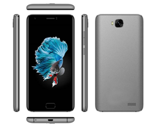 Firstsing 5.0 inch 4G LTE 8GB Android 7.0 MT6737 SC9832 Smart Phone WIFI GPS Fingerprinter の画像