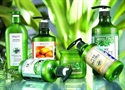 Image de Pleasant fragrance, nourish hair healthy hair care shampoo with green tea oil