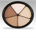 5 color camouflage concealer mineral make up palette