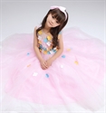 Show Girls Tulle Appliqued Softest Birthday Wedding Pageant Princess Dress