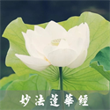 Image de THE LOTUS SUTRA