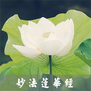 Picture of THE LOTUS SUTRA