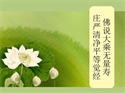 Picture of The Infinite Life Sutra (Xia Lianju)