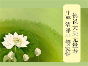 Picture of The Infinite Life Sutra (Xia Lianju)