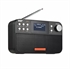 Image de BlueNEXT DR-103B DAB+ Outdoor Portable Antenna 18650 Lithium Battery mini fm radio receiver With BT