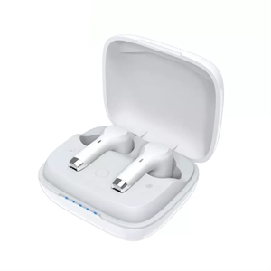 BlueNEXT Wireless Mini Hearing Aid Bluetooth Digital Hearing Aids Charging Compartment Design Hearing Aids(White)