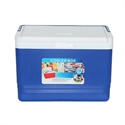 Изображение BlueNEXT 11L Coke box cold beer box outdoor sports small incubator storage box fresh box