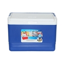 BlueNEXT 11L Coke box cold beer box outdoor sports small incubator storage box fresh box の画像