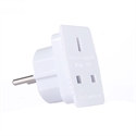 BlueNEXT British to Multi Country Conversion Plug,2Pin  Round Socket Conversion Plug の画像