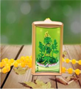 Picture of Boutique Pendant Buddhist Chanting Machine Green Tara 5 Songs Buddhist Chanting Machine