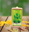 Изображение Boutique Pendant Buddhist Chanting Machine Green Tara 5 Songs Buddhist Chanting Machine