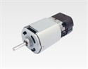 100V DC Brushed Motor