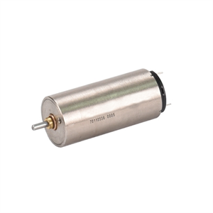 6V DC Brushed Hollow Cup Motor