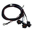 Picture of ECU Harness