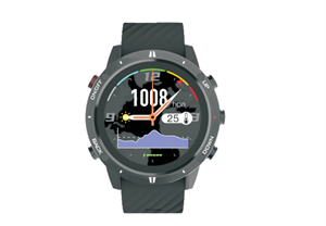 BLUENEXT SMART GPS OUTDOOR WATCH の画像