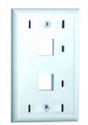 Picture of Face Plate
