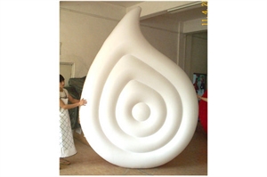 Изображение Inflatable Cushion