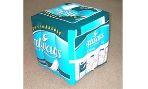Image de Inflatable Cushion
