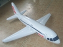 Picture of Inflatable Plane