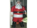 Picture of Inflatable Characters