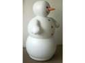 Picture of Inflatable Characters