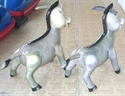 Image de Inflatable Animal
