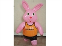 Image de Inflatable Animal