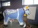 Image de Inflatable Animal