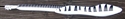 Picture of Guitar and Microphone